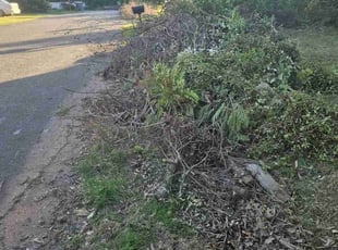 Leaf Removal by Jesus Gutierrez for Donavan J. in Spartanburg, SC
