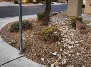 Bush Trimming by Lamont Johnson for Paul M. in Las Vegas, NV