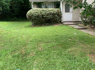 Bush Trimming by Brandon Cummings for Leshandra M. in Decatur, GA