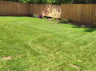 Roman C.'s Lawn Mowing Service service result