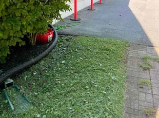 Kim S.'s Lawn Mowing service result