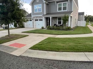 Carlos T.'s Lawn Care service result