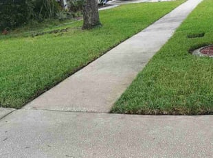 Jason H.'s Lawn Care service result