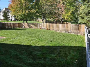 Kandi M.'s Grass Cutting service result