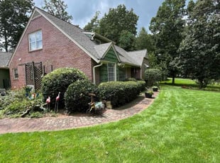 Kenneth H.'s Bush Trimming service result