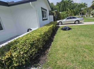 Bush Trimming by Rick Buricca for Brooke F. in Boca Raton, FL