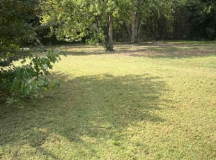 Gilbert B.'s Grass Cutting service result