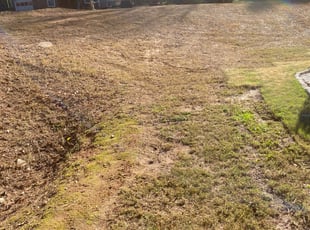Leaf Removal by Bobbyp Goggins for Ndosi A. in Lithonia, GA
