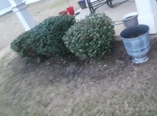 Cleanups by Eric Diaz for Carrie S. in Aubrey, TX