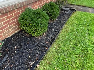 Weeding by Valera Swearngin for Alisha E. in Virginia Beach, VA