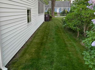Paula W.'s Lawn Mowing Service service result