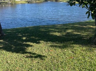 Bill R.'s Lawn Mowing Service service result