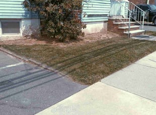 Farrah L.'s Lawn Service service result