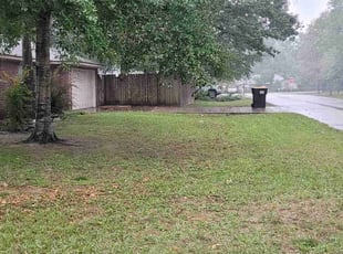 Cleanups by Linda Jones for Alessandra B. in Conroe, TX