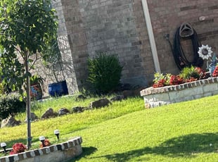 William G.'s Lawn Maintenance service result