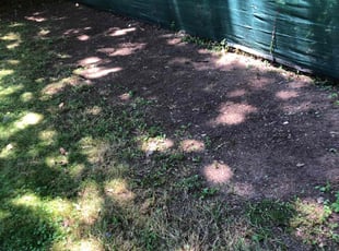 Cleanups by Alex Cordero for Adina M. in Hamden, CT