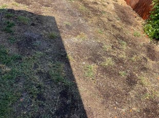 Aeration by Carlos Reyna for Roxanne B. in Fontana, CA