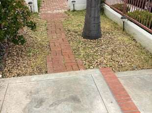 Cleanups by Hugo Lopez for Winston H. in Menifee, CA