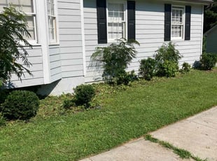 Bush Trimming by Derrick Brown for Jessica E. in Covington, GA