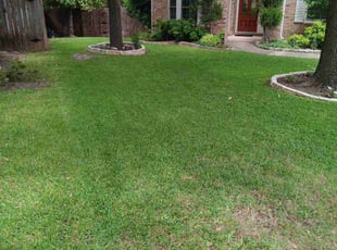 Zachary D.'s Lawn Service service result