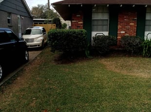 Bush Trimming by Gerald Helmke for Kye R. in Metairie, LA