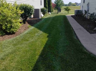 Meg C.'s Lawn Care service result