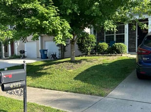 Stephen S.'s Grass Cutting service result