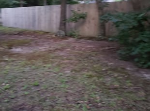 Leaf Removal by Daniel Crowder for LaTonia S. in Prince George, VA