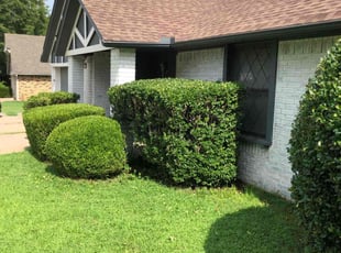 Bush Trimming by Paul Handley for Theron T. in Broken Arrow, OK