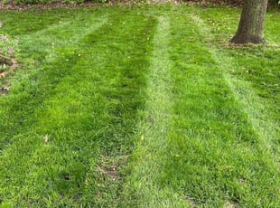 Laura D.'s Lawn Care service result