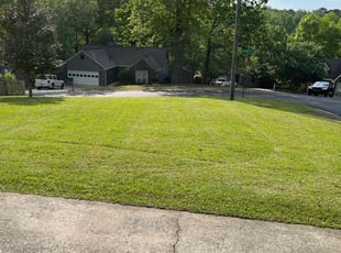 Mario M.'s Lawn Care service result