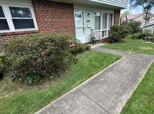 Bush Trimming by Fidel Rodriguez for Tahani Y. in Alexandria, VA