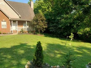 Chad G.'s Yard Cutting service result