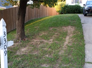Leaf Removal by Tracey Harris for Madeline G. in Raleigh, NC