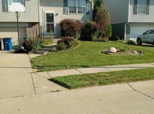 Angela J.'s Grass Cutting service result