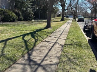 Warren K.'s Lawn Mowing service result