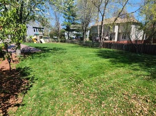 Teri S.'s Lawn Mowing service result