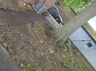 Cleanups by Andrew Garrison for Andrew A. in Edwardsville, IL