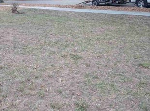 Cleanups by Lance Reynolds for Jennie F. in Kansas City, MO