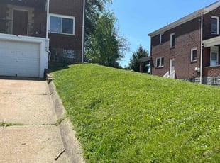 Catalin A.'s Lawn Mowing Service service result