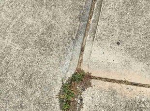 Weeding by Jamarcus Liegey for Loretta H. in Dacula, GA