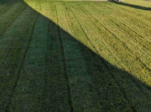 Anthony A.'s Yard Cutting service result