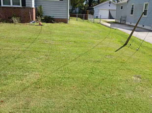 Mike S.'s Lawn Mowing Service service result