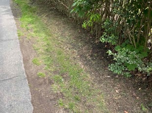 Cleanups by Charles Hubbard for Lisa M. in Cleveland Heights, OH