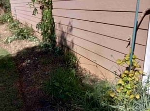 Bush Trimming by Enrique Juarez for Gordon M. in Roswell, GA