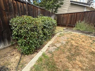 Cleanups by Maria Almendra for Sarah G. in Pleasanton, CA