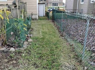 Leaf Removal by Kiara Payne for John L. in Pennsauken Township, NJ