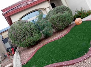 Bush Trimming by Angel Sandoval for Sharon M. in El Paso, TX