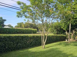 Bush Trimming by Rick Buricca for Keegan S. in Boca Raton, FL