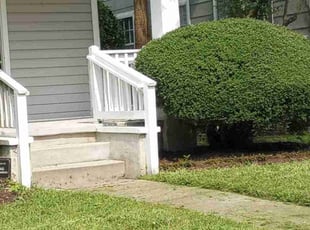 Bush Trimming by Debbie Carper for Nathaniel T. in Norfolk, VA